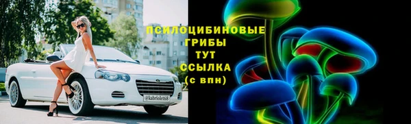 ПСИЛОЦИБИНОВЫЕ ГРИБЫ Киреевск