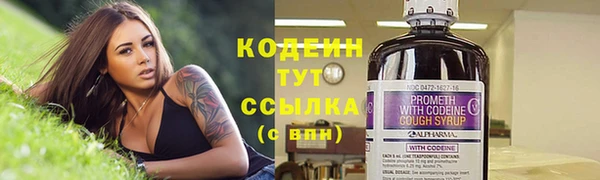 ПСИЛОЦИБИНОВЫЕ ГРИБЫ Киреевск